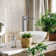Lulani Boracay Single Hole Bathroom Faucet with Drain Assembly