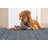 Jocile Indoor / Outdoor Rug-1897639950