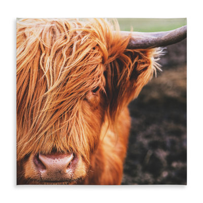 Portrait Highland Cow Tablecloth - Farmhouse Decor, Indoor/Outdoor