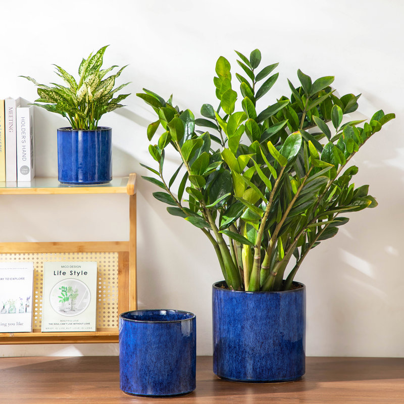 ZTHPOT Ceramic Pot Planter, Blue