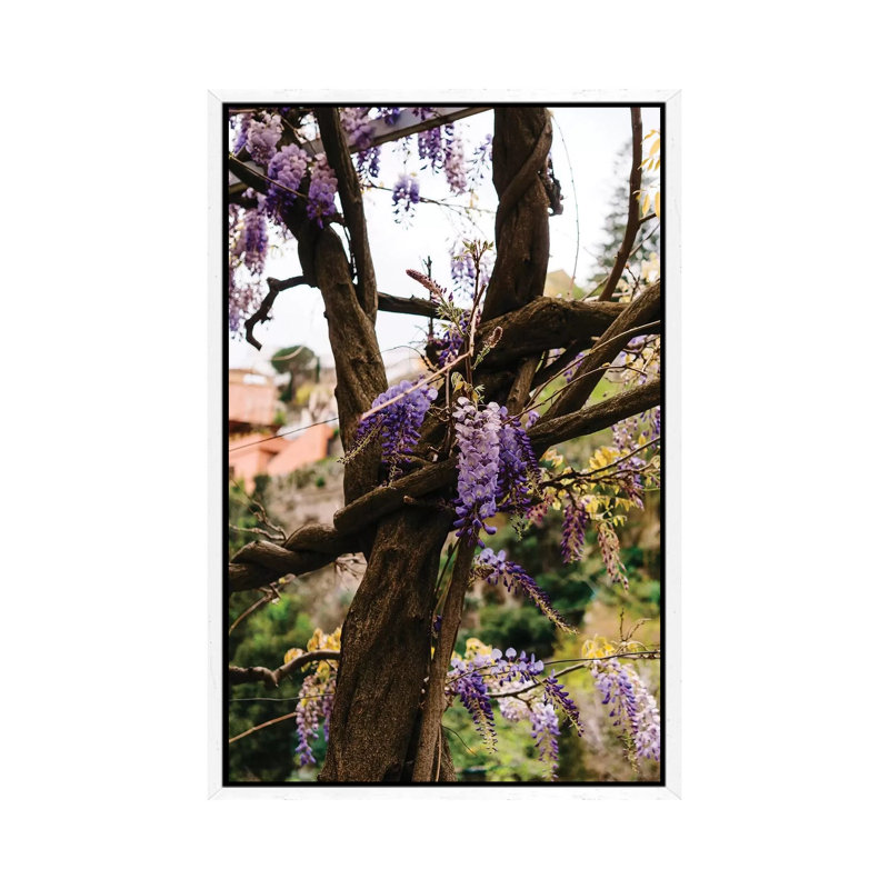 Positano Blooms VI by Bethany Young - Print on Canvas, 66.04cm H x 45.72cm W x 3.81cm D, White Framed