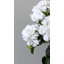 Buisson de géranium artificiel rouge 15 po-1385611569