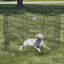 Enclos d'exercice avec porte pour chiens MidWest Homes for Pets-969873269