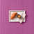 Lilas/mauve
