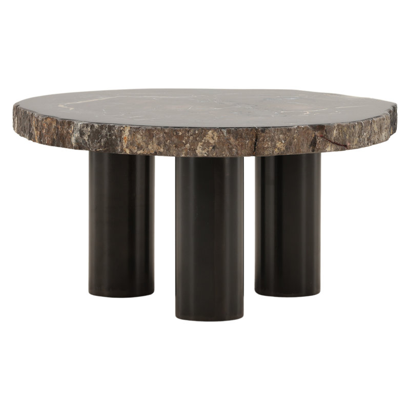 Table basse Darnell Petrified, H 16 po x L 30 po x l 31,5 po
