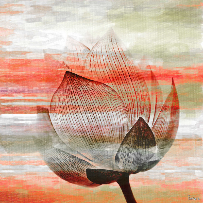 Parvez Taj - Wrapped Canvas Painting, 45cm H x 45cm W