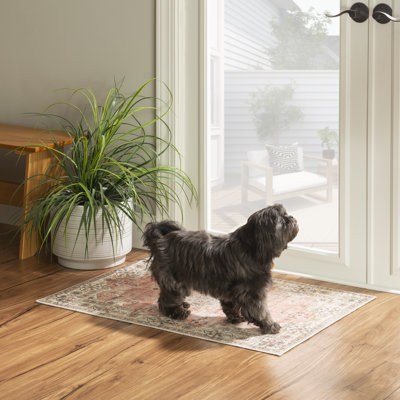 Delacroy Machine Washable Pink and Ivory Area Rug