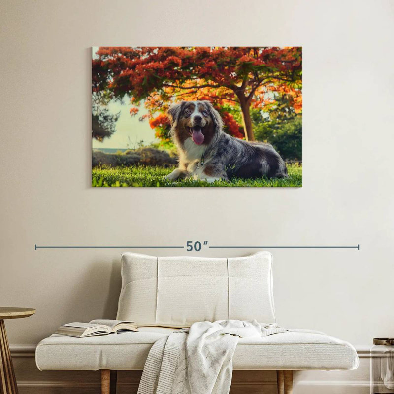 Cherry Border Collie, 26" H x 39" W