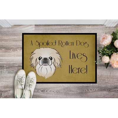 Non-Slip Outdoor Doormat