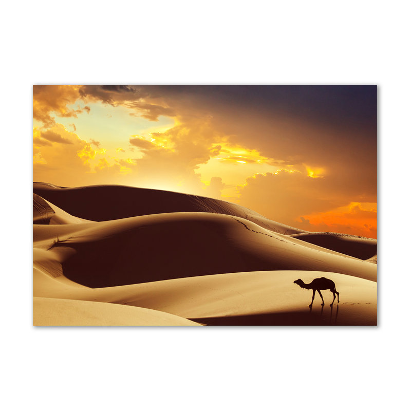 Sahara's Camel - Wrapped Canvas Print