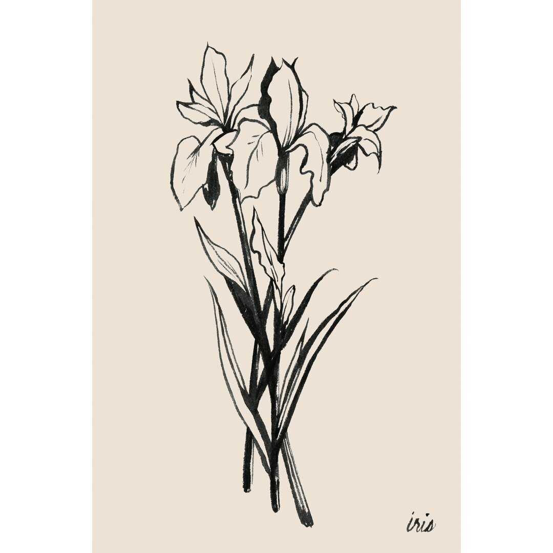 Leinwandbild Iris II von Grace Popp