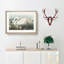 American Swan by John Audubon - Single Picture Frame Painting-55544949-55544945