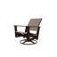 Wexler Outdoor Swivel Lounge Chair-1099678792-1102391102