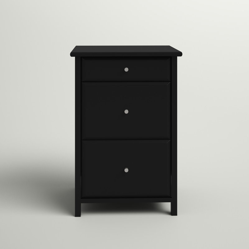 Aisha 20.87'' Wide 3 -Drawer File Cabinet, Black