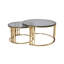 Luna Chrome Nesting Coffee Table Set-1152151252