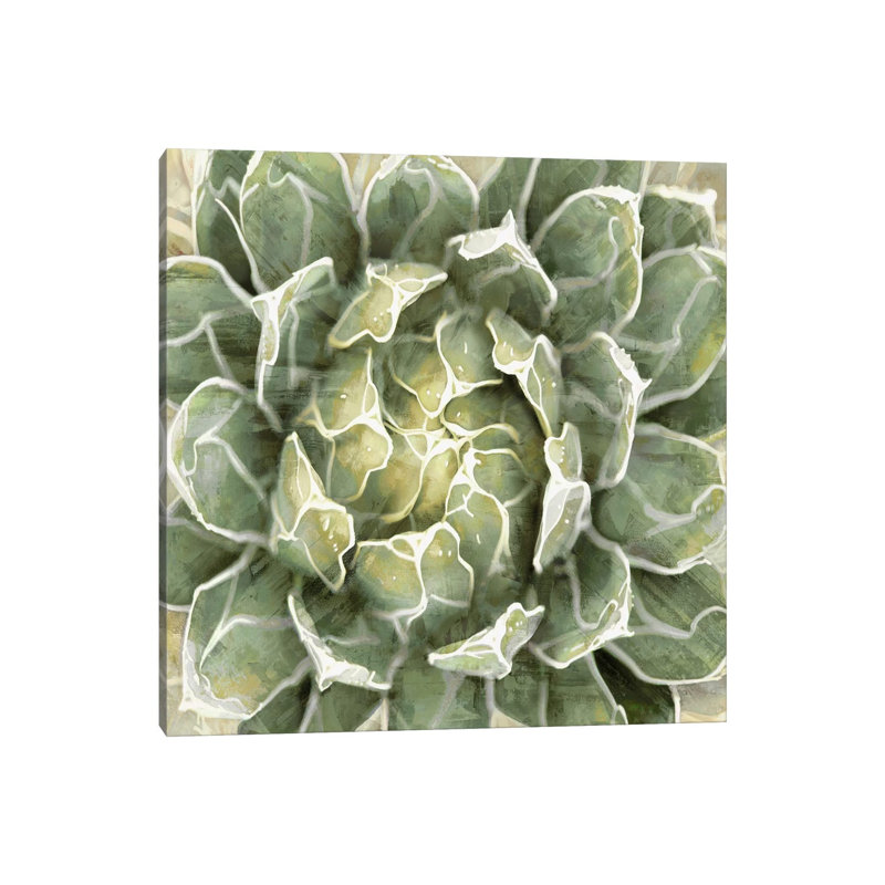 Succulent VII by Lindsay Benson - Wrapped Canvas Painting