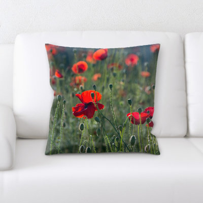 Coussin de jeté