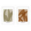 Marine Flora 3 & 4. Set of 2 by Romina Gadler - Paper Framed Wall Art-117405064-117405078