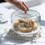 Butterfly Ginkgo Luxe Cake Stand with Dome