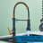 Augusts Pull Down Kitchen Faucet