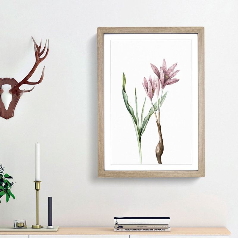 Pink Autumn Crocus Flowers by Pierre-Joseph Redoute - Picture Frame Painting Print, 65cm H x 48cm W x 2cm D, Oak Framed