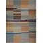 Striped Area Rug in Orange/Blue