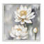 Art en giclée encadrée de lotus blanc en herbe par Kim Allen-108616063-108616064