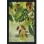 «Tropical Greenery II» par Silvia Vassileva - Peinture-65864959-65864958