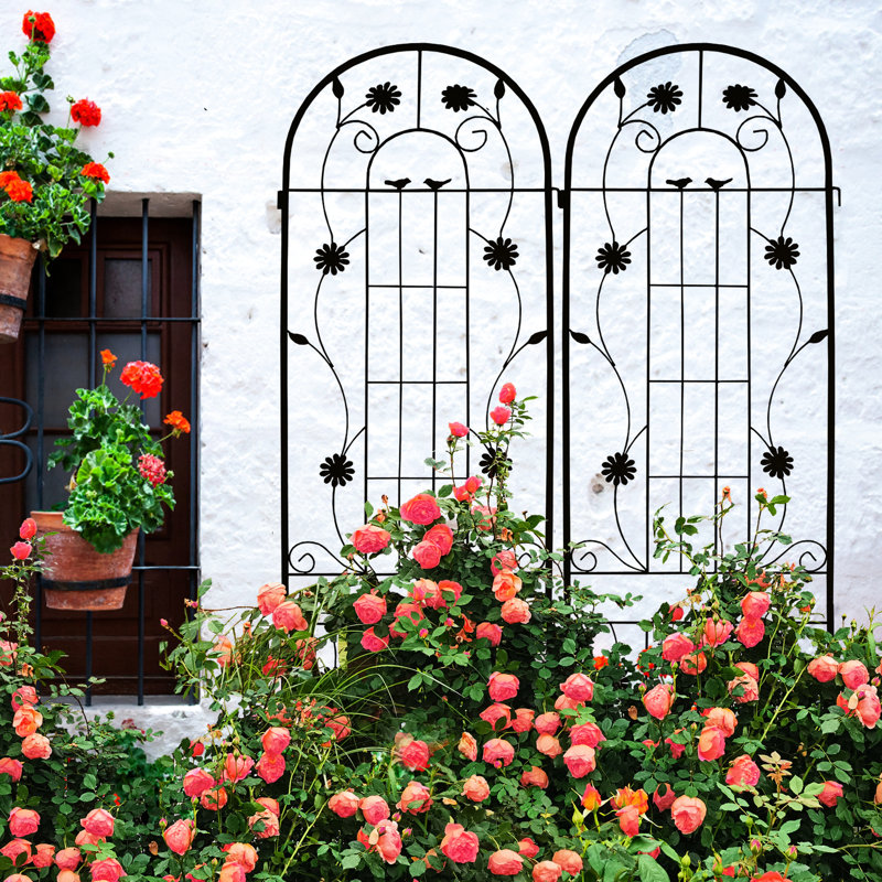 Ensemble de 2 treillis en métal antirouille de 86,7 po x 19,7 po, support à fleurs pour vignes de gloire du matin, noir, assemblage facile, paquet de fer de 19,7 po, raisin, haricots, simple
