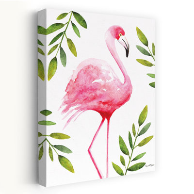 Le flamant rose - flamant tropical
