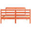 Storage Bed-1264889424