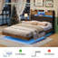 Upholstered Storage Bed-574375989