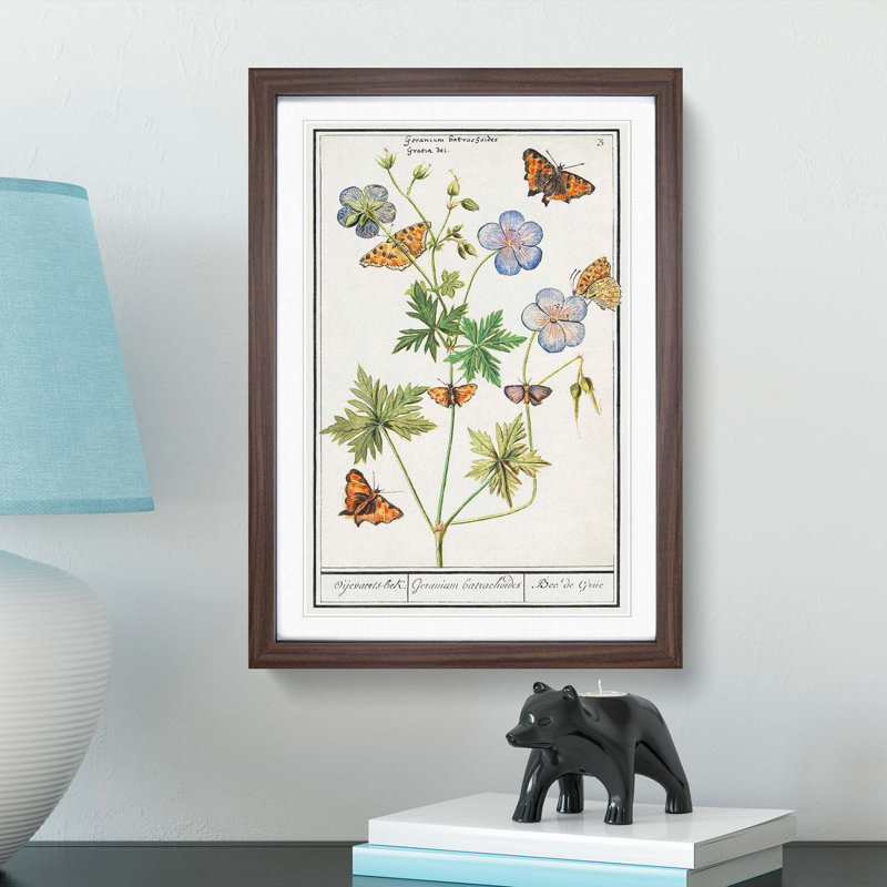 Butterflies & Pelargonium Flowers by A.B. de Boodt - Picture Frame Art Print, 65cm H x 48cm W x 2cm D, Walnut Framed