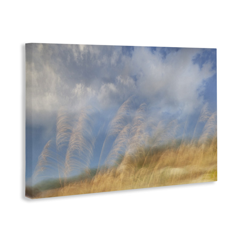 Toile de paysage Waves Of Terra, design par Karin Connolly, H 20 po x l 30 po
