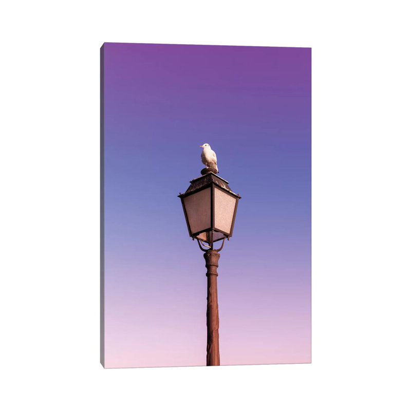 Seagull by Beli - Wrapped Canvas Print, 101.6 cm H x 66.04 cm W x 3.175 cm D
