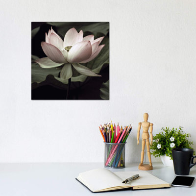 «The Lotus I» - Impression sur papier avec cadre flottant