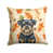 Black and Tan Brussels Griffon