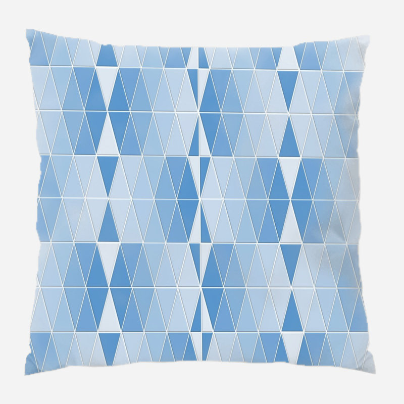 Coussin décoratif