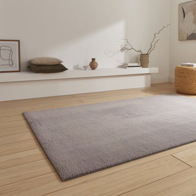 Snug area rug Machine Woven Dark Grey