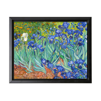 Van Gogh - Irises No1