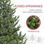 6ft Artificial Christmas Tree-1636511719