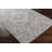 Oriental Indoor Rug-1723030775