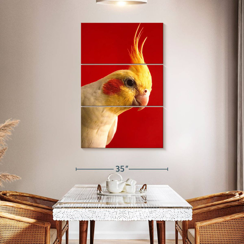 Brampt Lutino Cockatiel, 50" H x 32" W