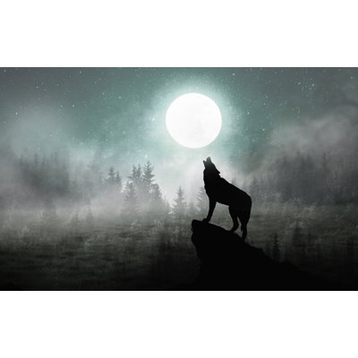 Loup, minuit, papier peint lune