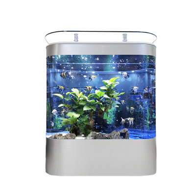 Aquarium Minimalist