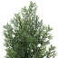 Artificial Topiary Tree 2-Set,Artificial Cedar Topiary Trees for Outdoor & Indoor Decor,Artificial Topiary Boxwood Tree, Faux Shrub Uv Protection-1590038404