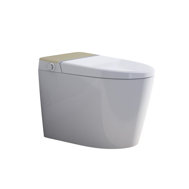 Toilette à bidet allongée avec couvercle à ouverture / fermeture automatique, siège chauffant et lavage à l'eau chaude
