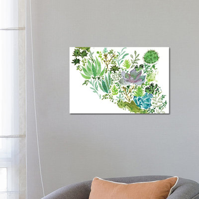 Succulent Field II by Melissa Wang - Wrapped Canvas Painting