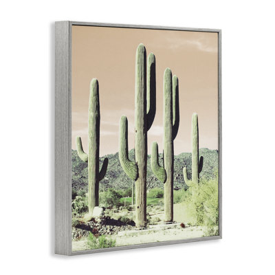 Scène de cactus au lever du soleil, estampe numérique encadrée par Susan Bryant bh-885