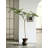 High Imitation Green Plant Jacaranda Tree